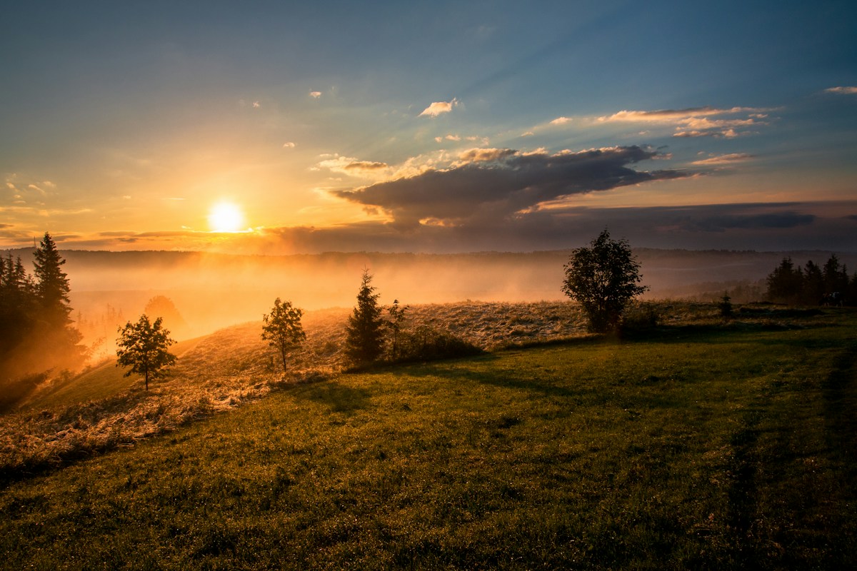 Zonsopgang boven horizon als metafoor voor circadiaans ritme en biologische klok