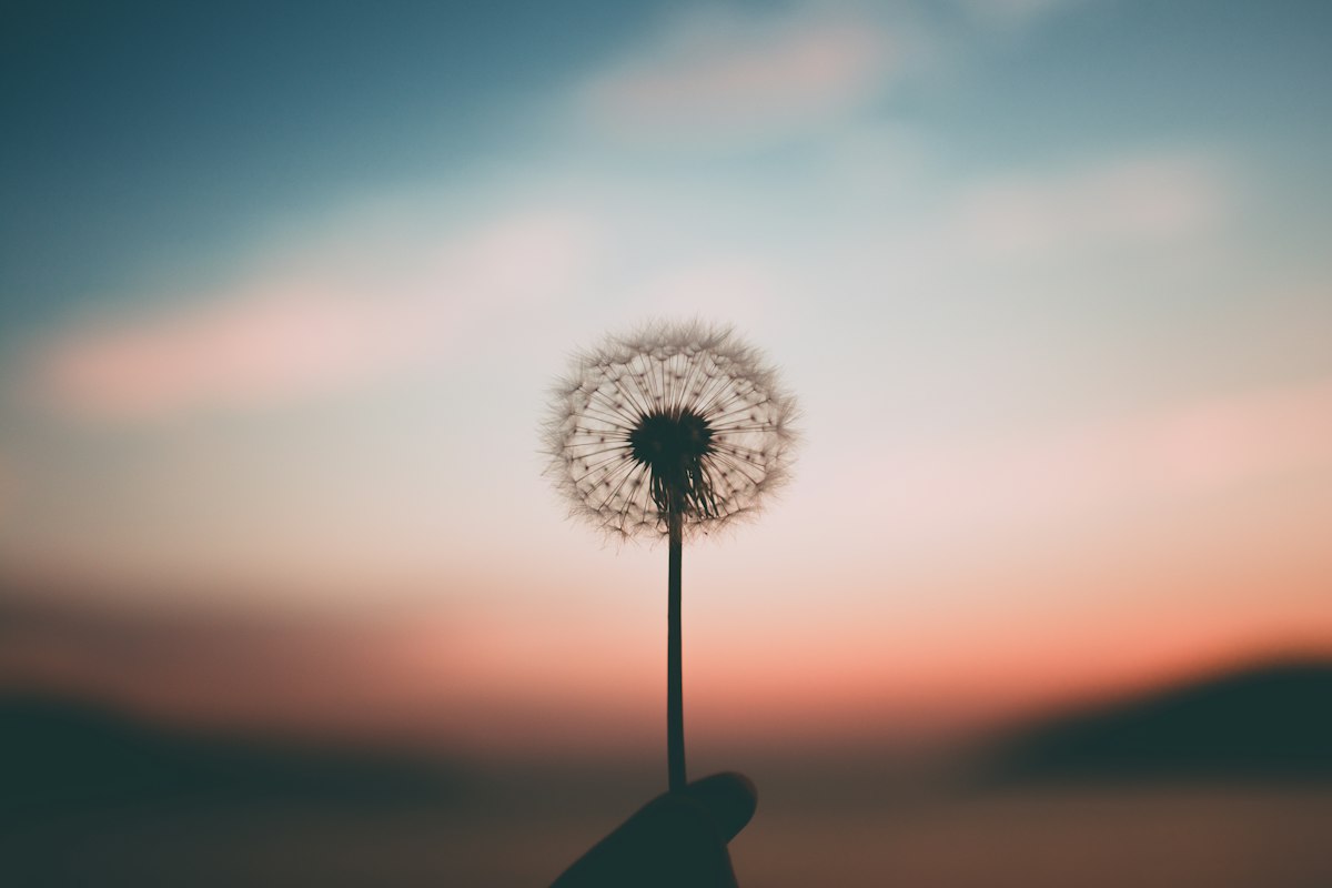 Acceptatie versus berusting en innerlijke vrede