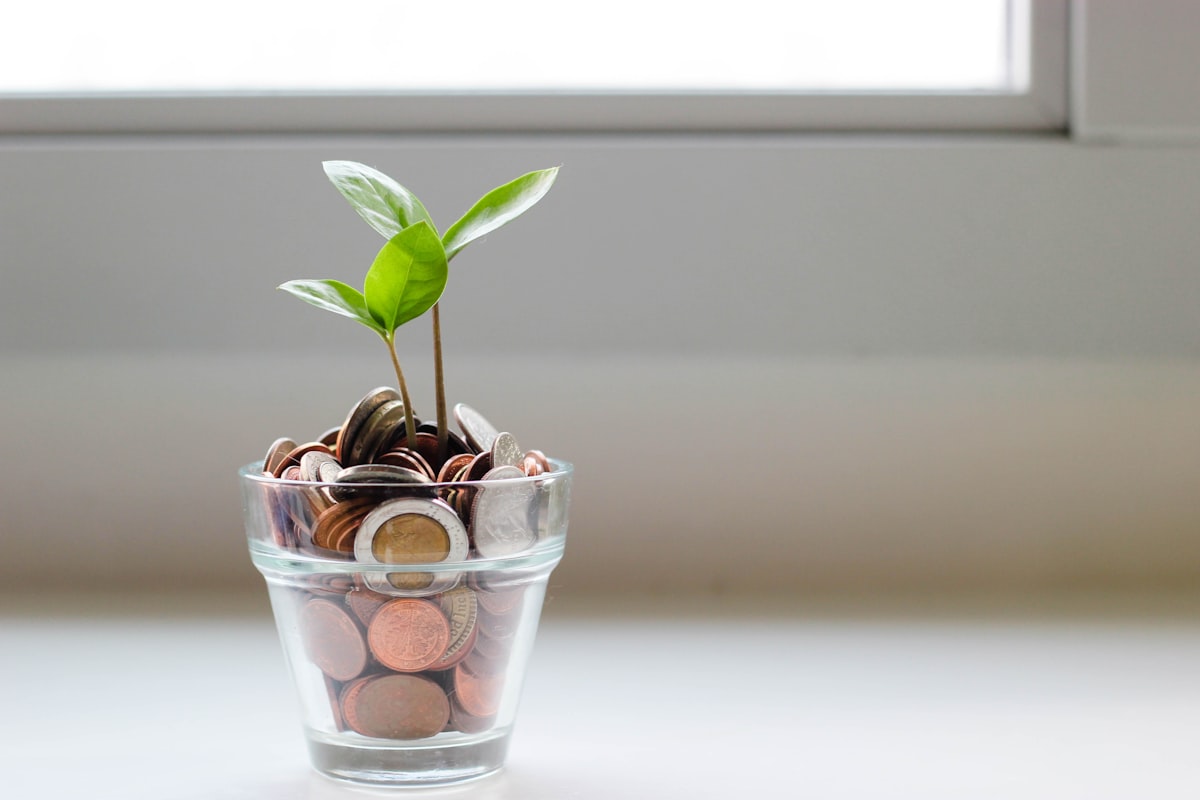 Persoon houdt notitieboek met financiële notities als metafoor voor geld mindset en overtuigingen