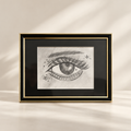 Goldyra - Potloodtekening - Sparkle Eye